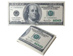 Dollar Bill Wallet