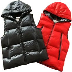 Moncler Vest #2