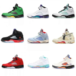 Air Jordan 5 (25 Variants)